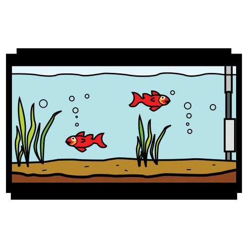 aquarium