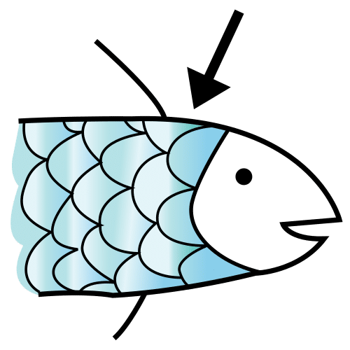 scales