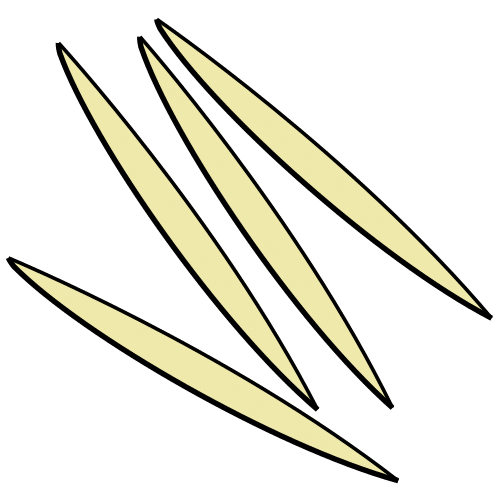 toothpicks