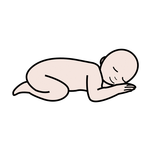 baby