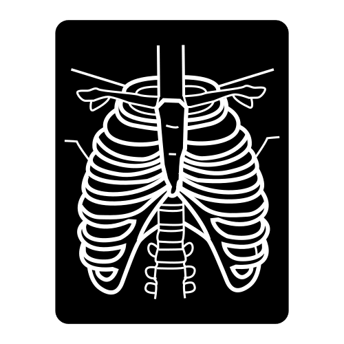 X-rays