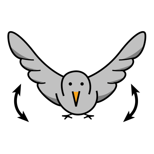 fly