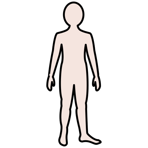 body