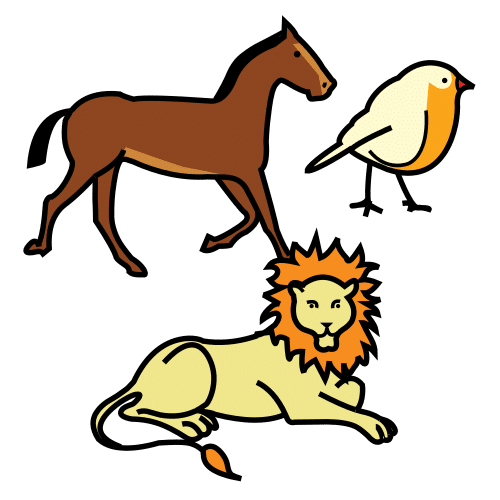 animals