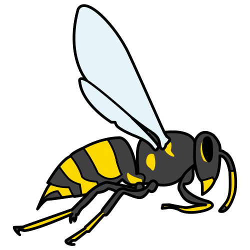 wasp