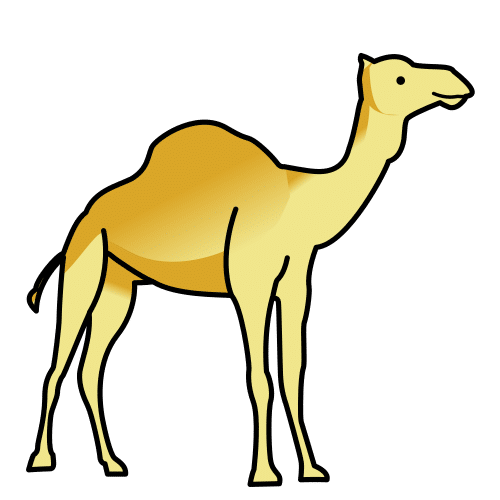 dromedary