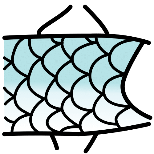 scales