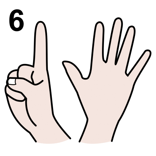 6