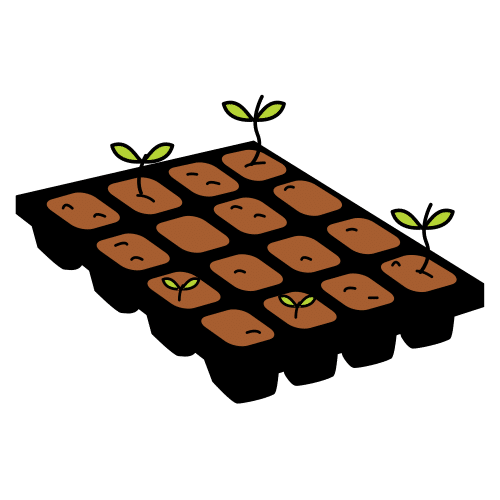 seedbed