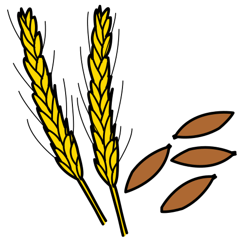 wheat