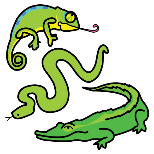 reptiles