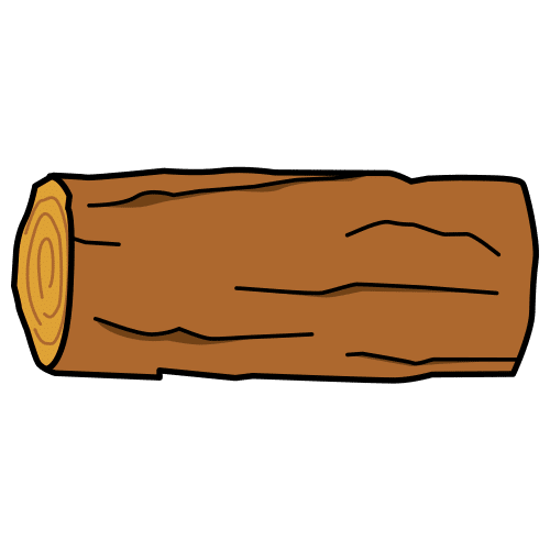 trunk