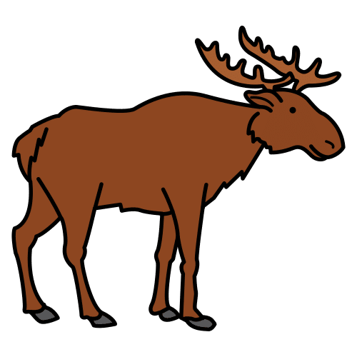elk