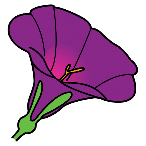 bellflower