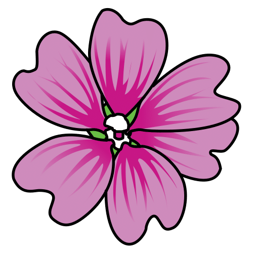 mallow