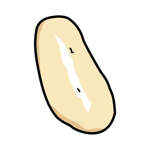 sponge cake