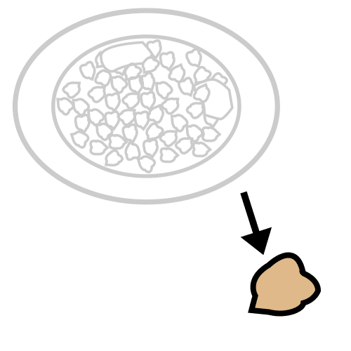 chickpea