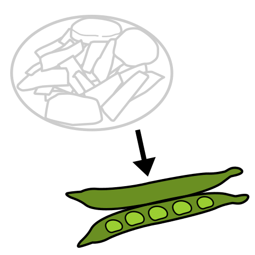 green bean
