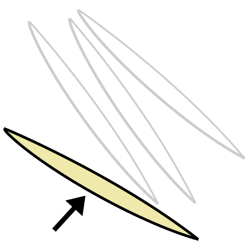 toothpick