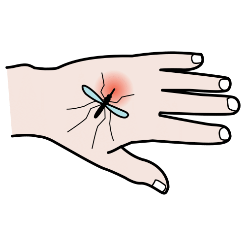 bite