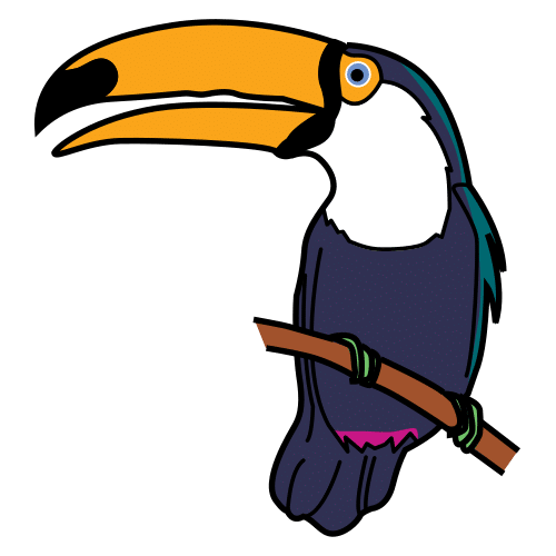 toucan