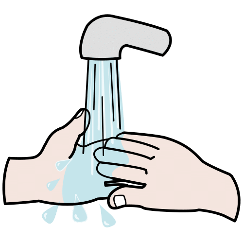 wash the hands