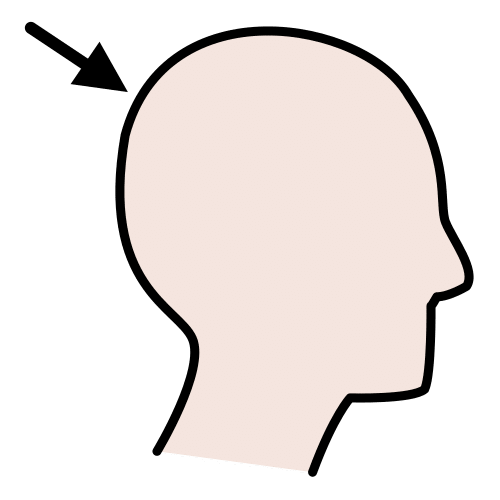 profile