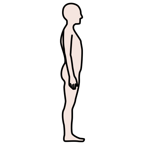 profile