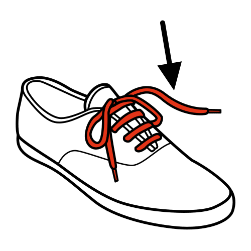 cord