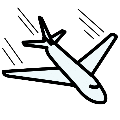 fly