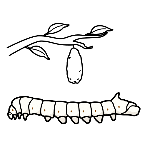 worm