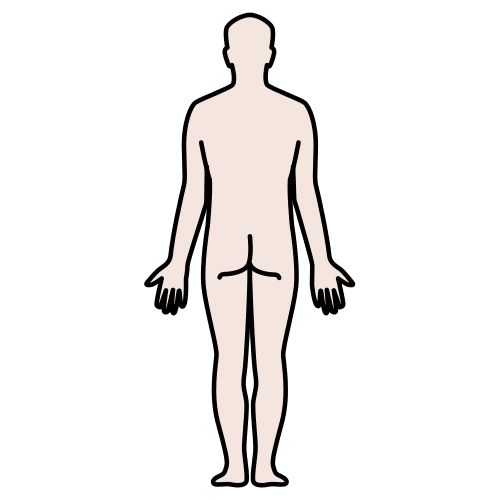 body