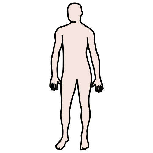 body