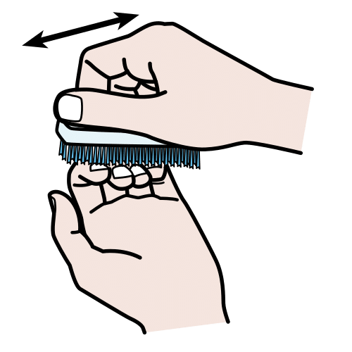 brush