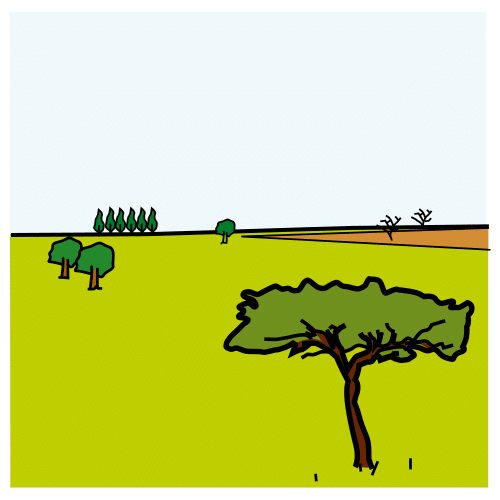 plain