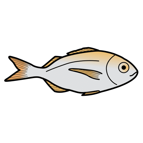 sea bream