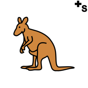 kangaroos