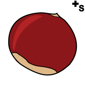 chestnuts