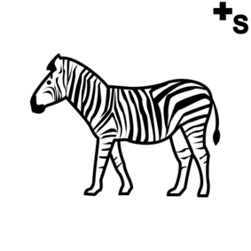 Zebras