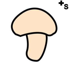 mushrooms