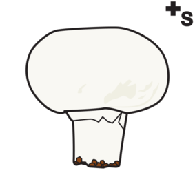 mushrooms