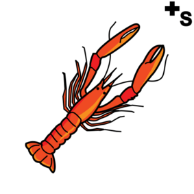 crayfishes