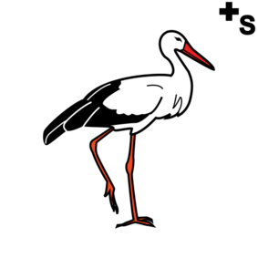 storks