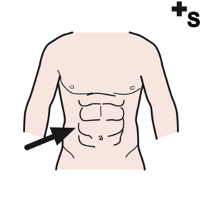 abdominal