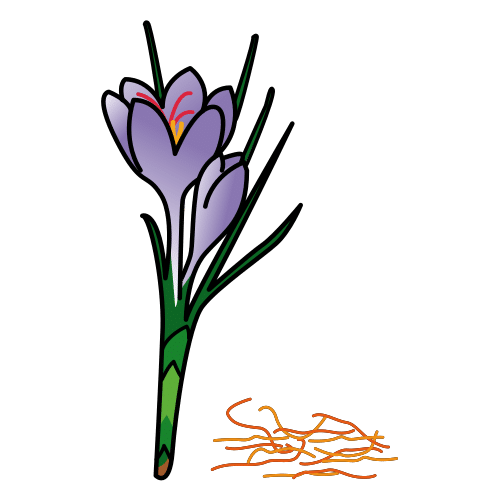 saffron