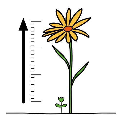 grow
