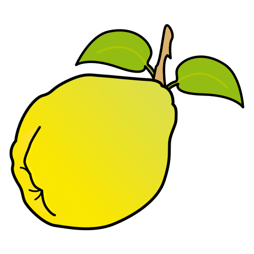 quince