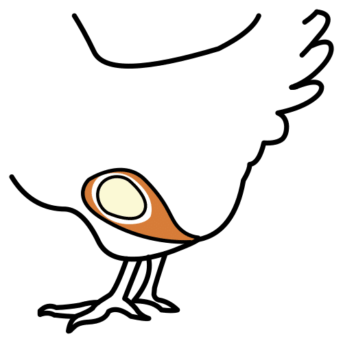 oviparous