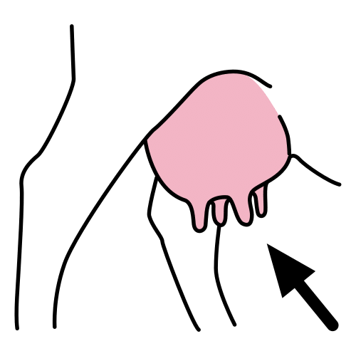 udder