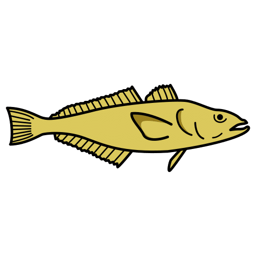 cod